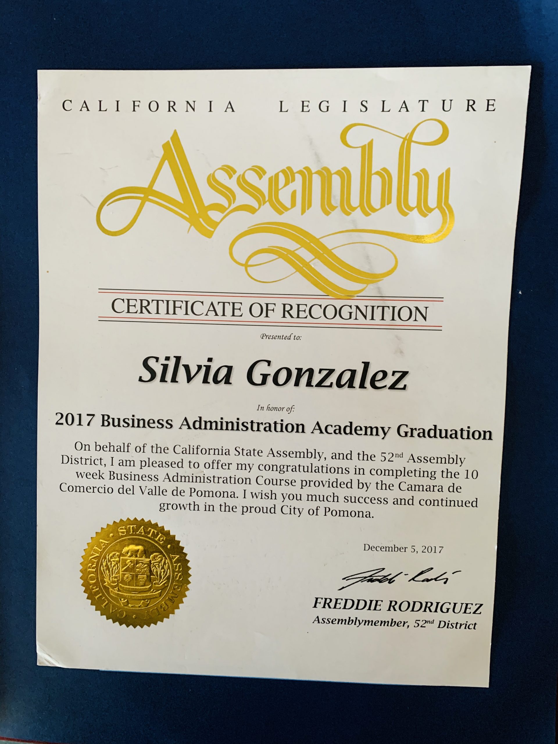 Busines administration Silvia