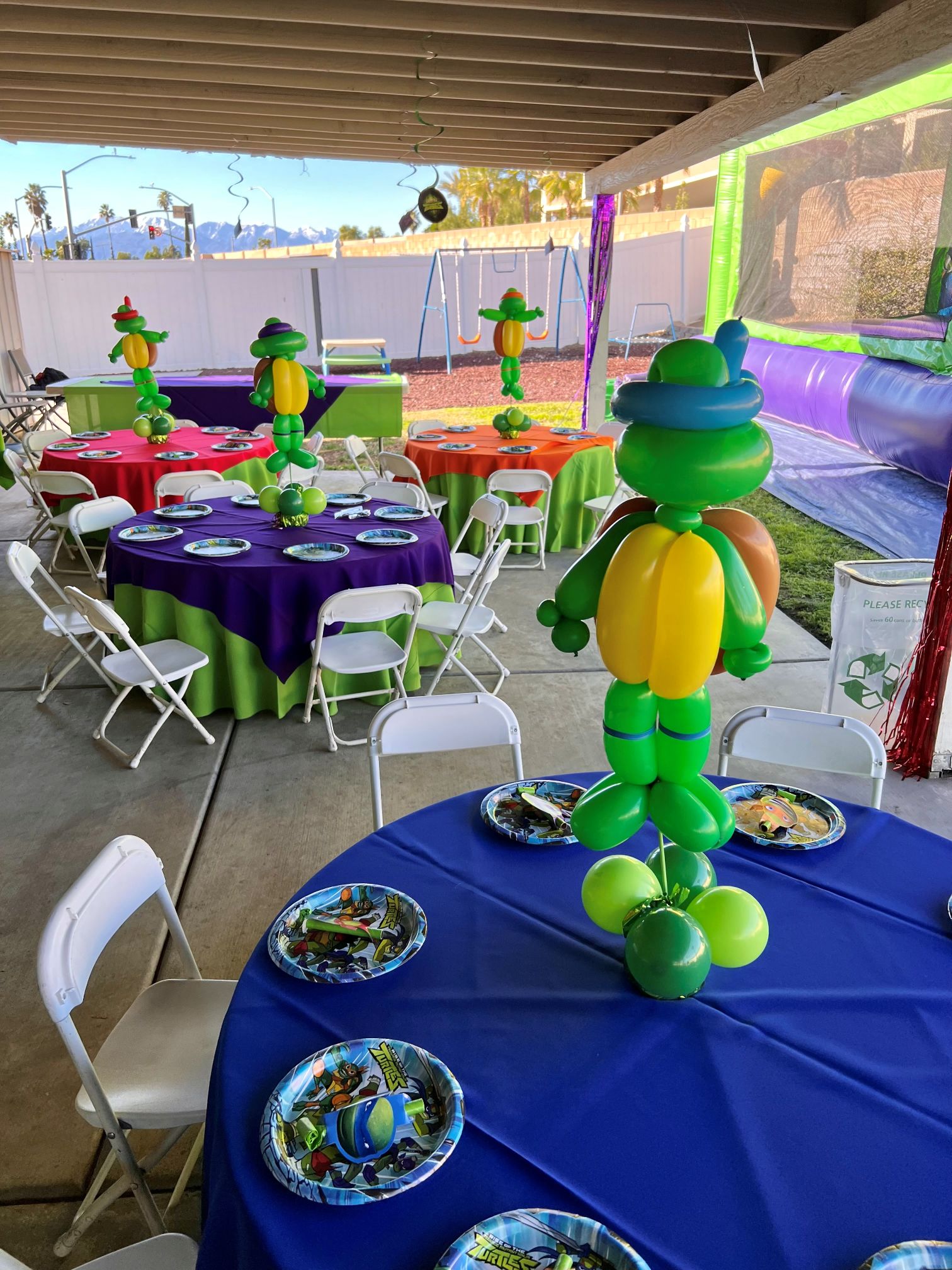 Turtle