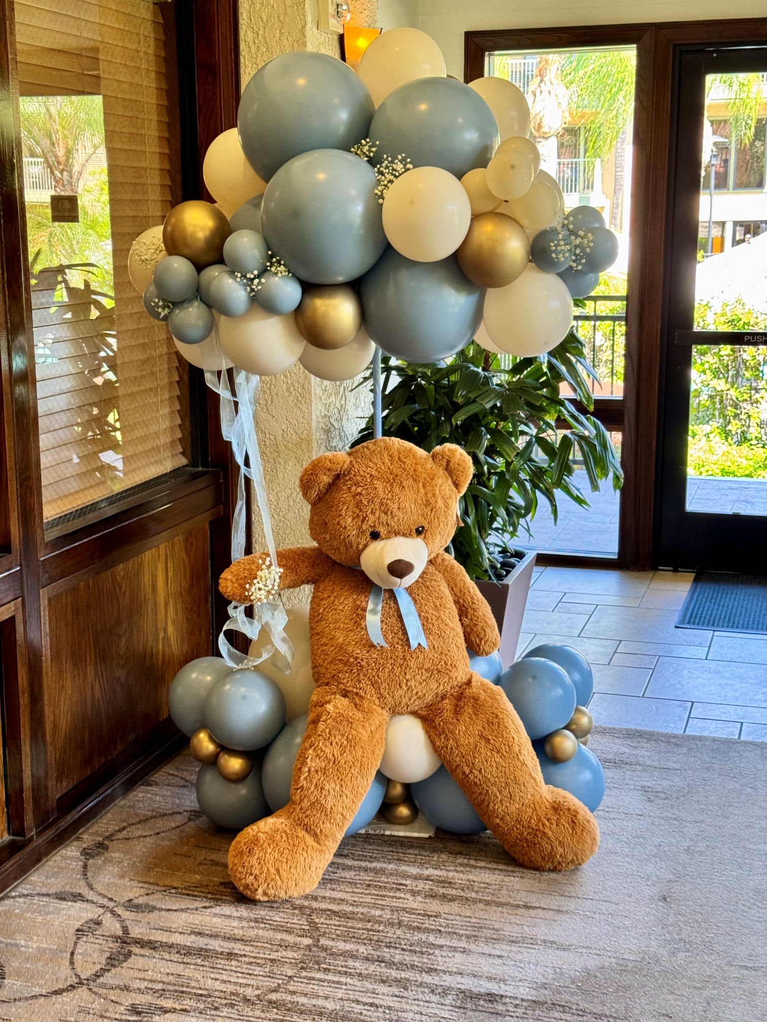 bear