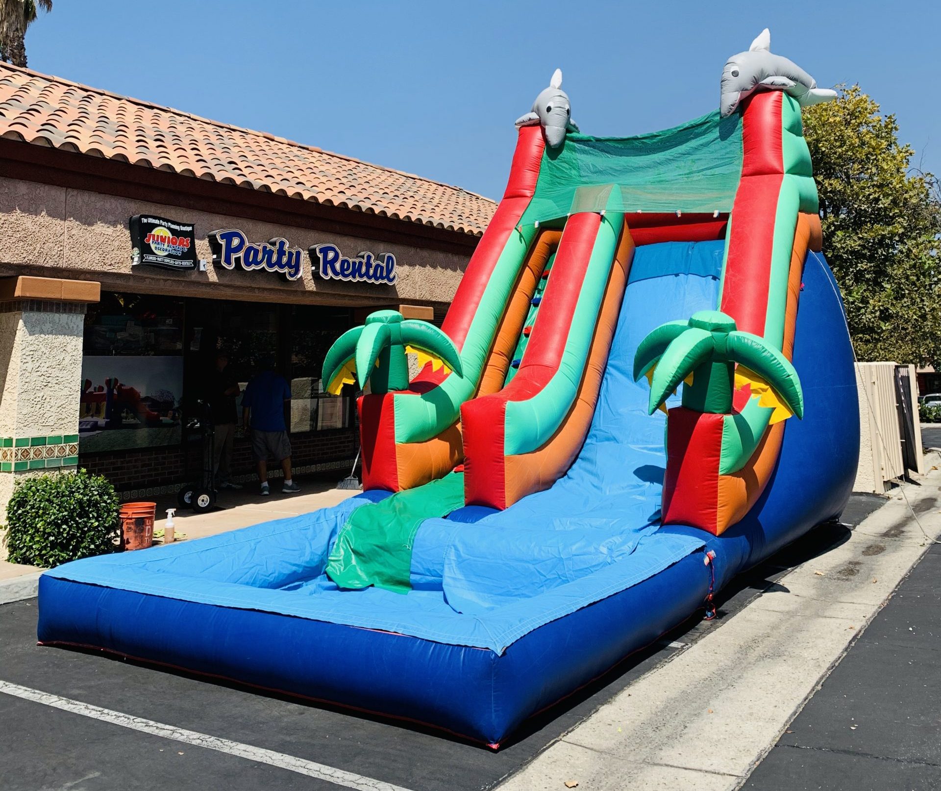 DOLPHIN WATERSLIDE