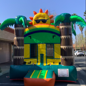 Sunshine Bouncer