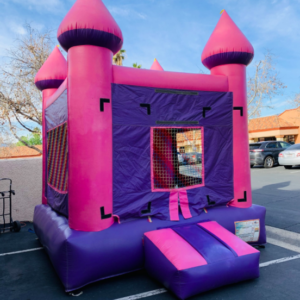 Pink and Purple Castle