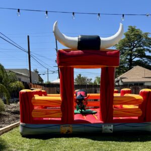 Mechanical Bull