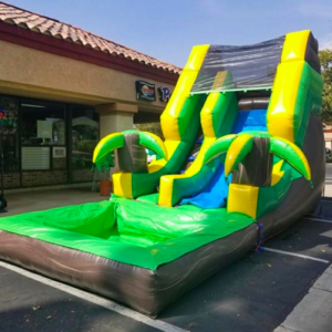 Palm Tree Waterslide