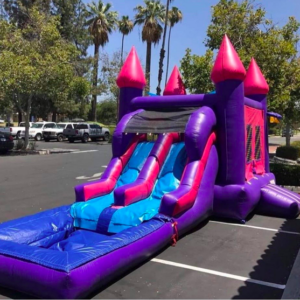 Pink Double Waterslide