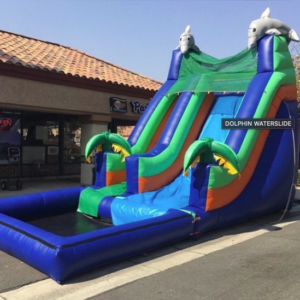 Dolphin Waterslide Blue
