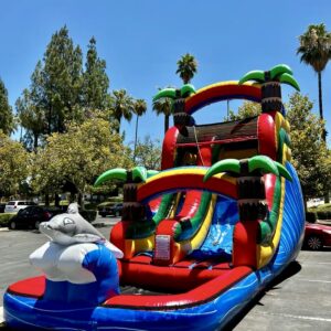 Silly Dolphin Waterslide