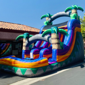 Double Fun Waterslide