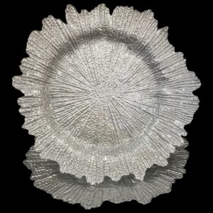 Silver Glass Chargers
