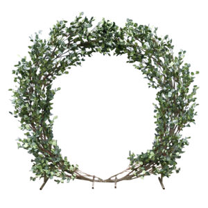 Eucalyptus Arch