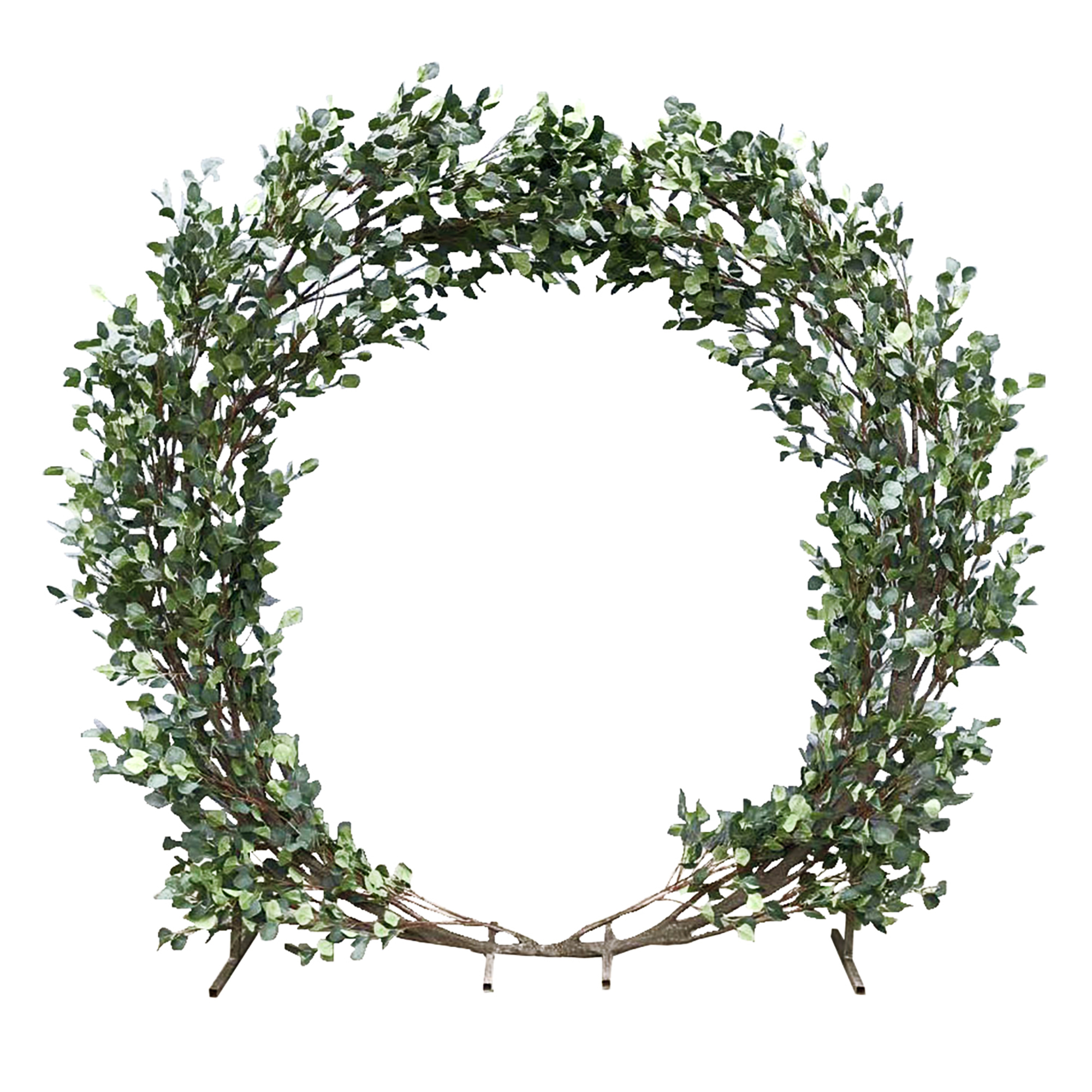 Eucalyptus Arch