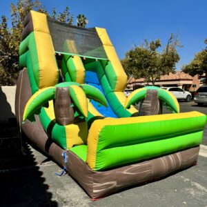 Palm Tree Dry Slide