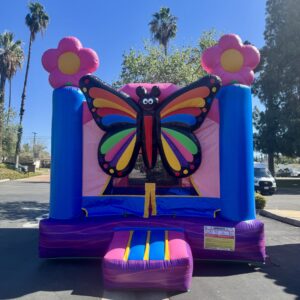 Butterfly Bouncer